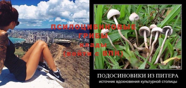 спиды Лагань