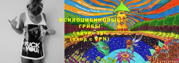 спиды Лагань
