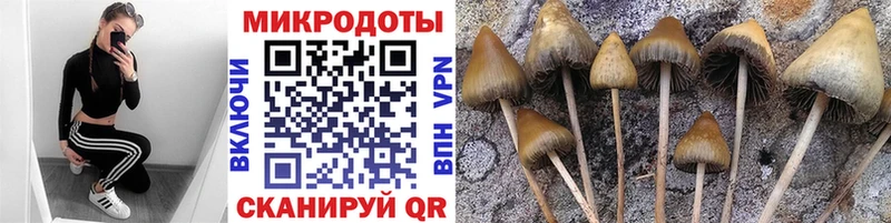 Галлюциногенные грибы MAGIC MUSHROOMS  купить  сайты  ОМГ ОМГ рабочий сайт  Миньяр 